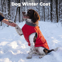 Fleece Dog Jacket for Small Dogs, Puppy Coat with Harness - Red / XXX-Large - image 2
