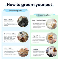 [3 Pack] Stainless Steel Pet Comb Set – Grooming Combs for Dogs & Cats, Large Medium Small Sizes – for Long, Short, Curly Hair, Detangling Matted or Knotted Undercoat Hair