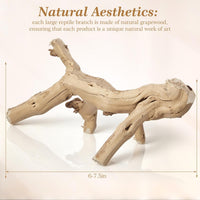 Janinka 14-17" Large Reptile Driftwood Branch for Bearded Dragon Gecko - 6-8" - image 2