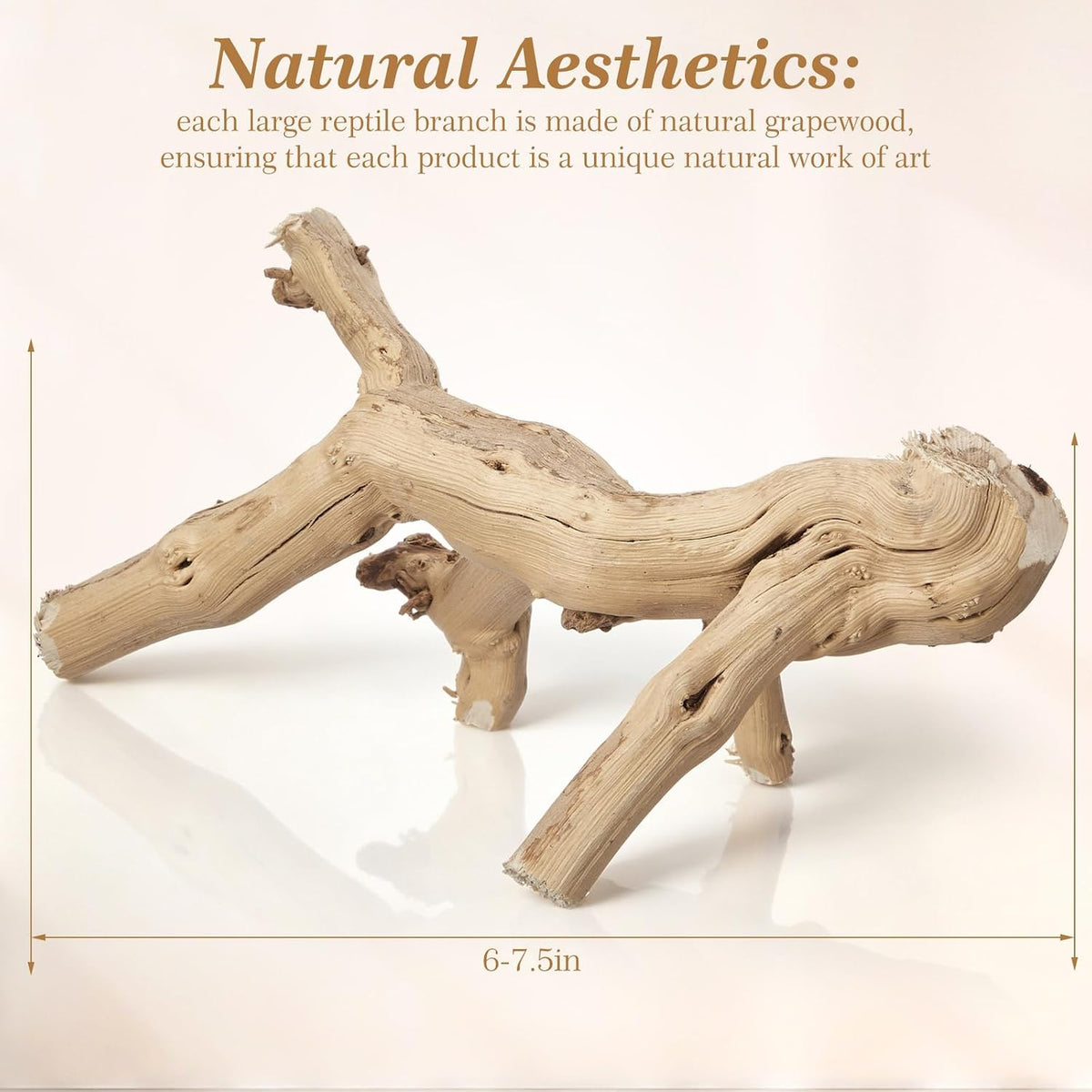 Janinka 14-17" Large Reptile Driftwood Branch for Bearded Dragon Gecko - 6-8" - image 2