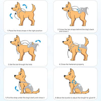 Idepet Female Dog Diapers with Suspender Detachable - Pink/Blue/Carneose / XL - image 2
