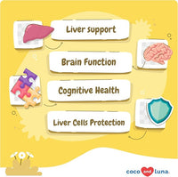 Same for Dogs - 90 Soft Chews - S-Adenosyl-L-Methionine - with MCT Oil for Better Absorption - Promotes Brain Health, Liver Support, and Cognitive Function