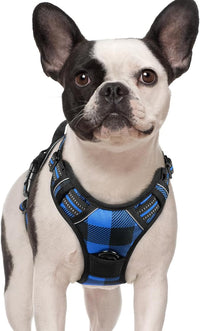 rabbitgoo Dog Harness No-Pull, Comfortable Padded Plaid Harness with Handle Easy Control, Adjustable Reflective Pet Vest with 2 Leash Clips for Small Dog, Blue Plaid, S