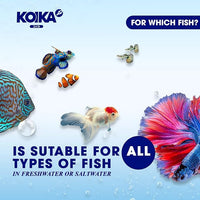KOIKA BACM Natural Color Enhancement for Fish, Combination of Probiotic & Multi-Vitamins for Aquarium A, B6, B2, Pleasant Smell (BACM (New Formula), 10ml)