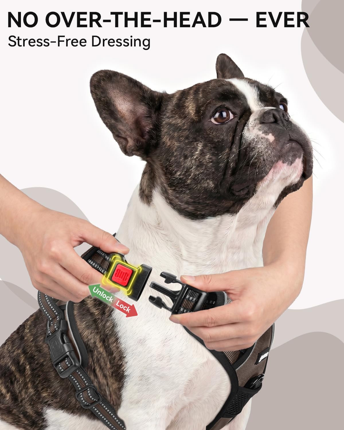 Joytale No Pull Dog Harness & Seat Belt, Easy On 3-Buckle, L - Brown / Large - image 2