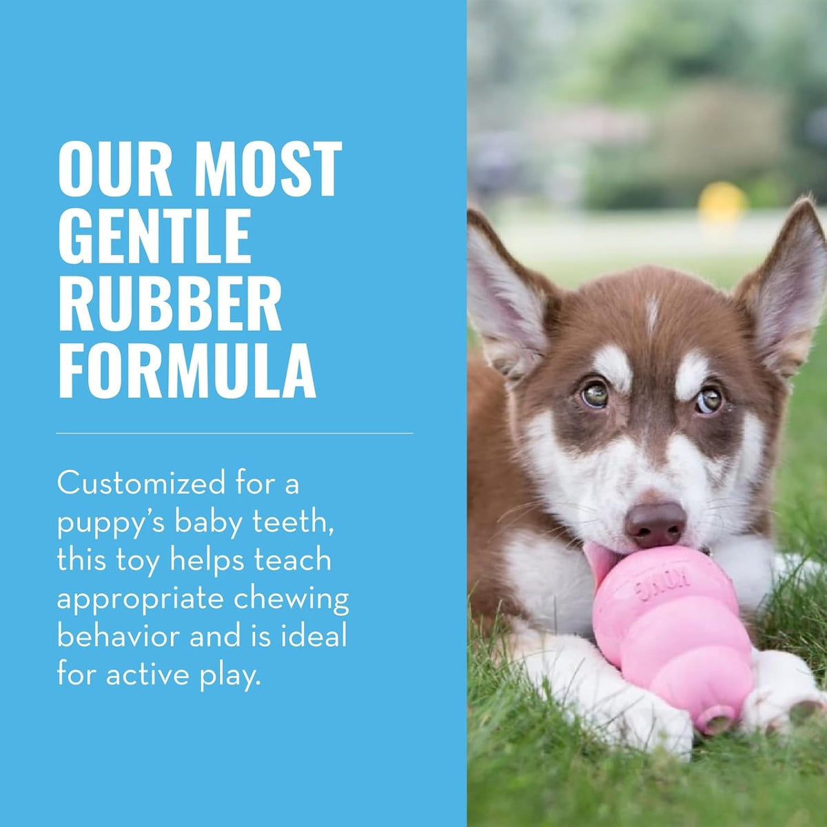 KONG Puppy, Natural Rubber Teething Chew Toy, for Small Puppies - Small (Pack of 4) / Pink - image 2