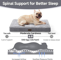 OhGeni Orthopedic Waterproof & Machine Washable Dog Bed for Small Medium Pets, Suitable for Crates, Cat Mat with 25D Egg Crate Foam, Removable Cover & Invisible Zipper, 30 Inches(Gray)