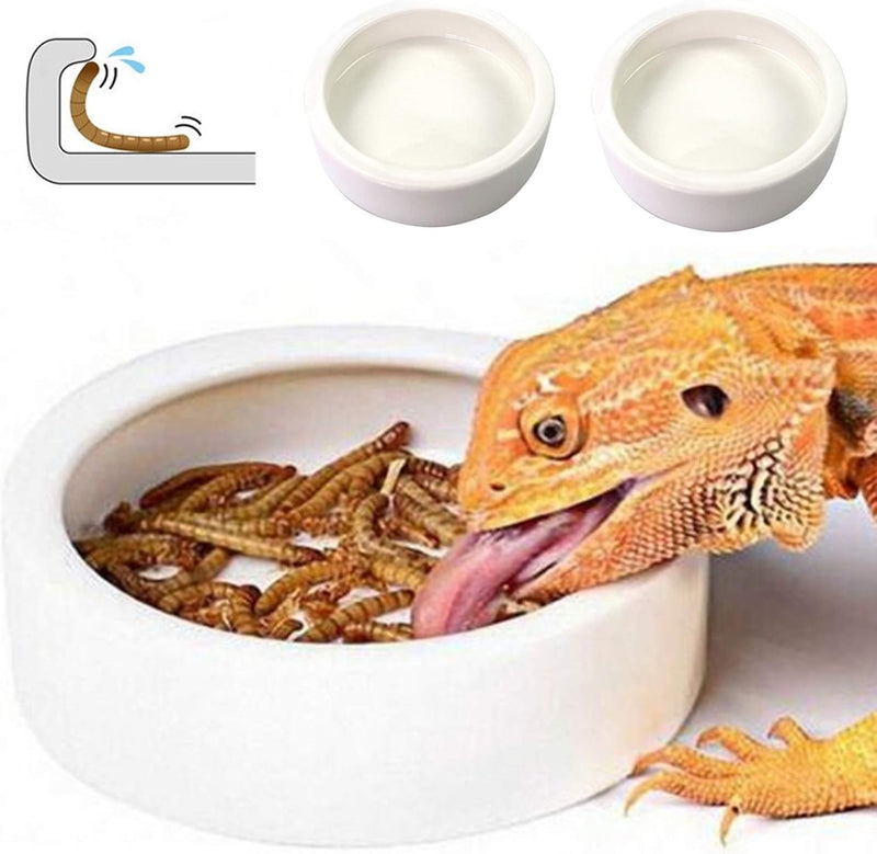 Reptile Food Dish Bowl 2Pcs Lizard Gecko Worm Water Bowls Small – Essentials for Reptiles And Amphibians - Small-2Pack / White