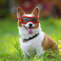 QUMY Dog Goggles Small Medium Breed Dog Sunglasses UV Protection - Red - image 3