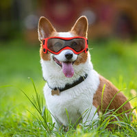 QUMY Dog Goggles UV Protection for Small to Medium Breed, Dog Sunglasses Windproof Anti-Fog Dustproof Snowproof, Puppy Glasses for Outdoor Riding Driving with Comfortable Frame Adjustable Straps
