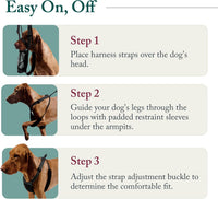Sporn No Pull Dog Harness - Medium / Blue - image 3