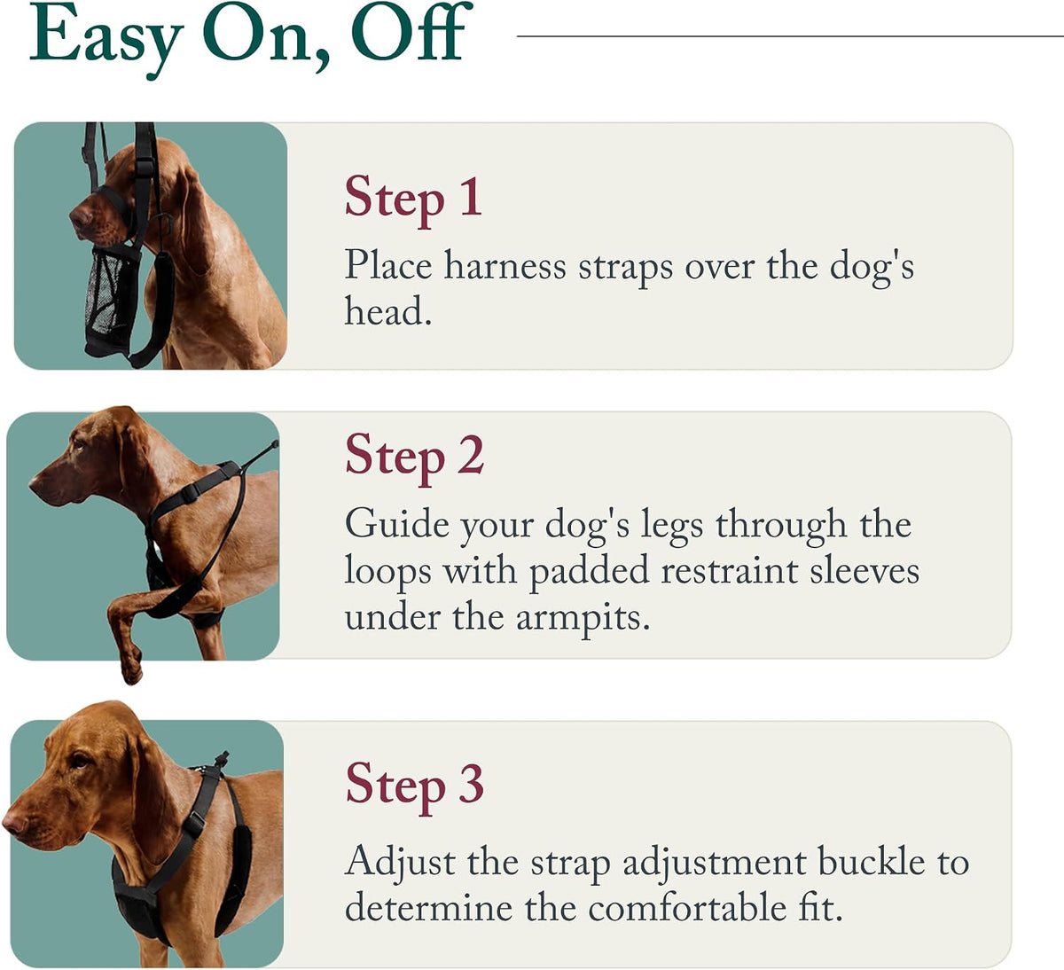 Sporn No Pull Dog Harness - Medium / Blue - image 3
