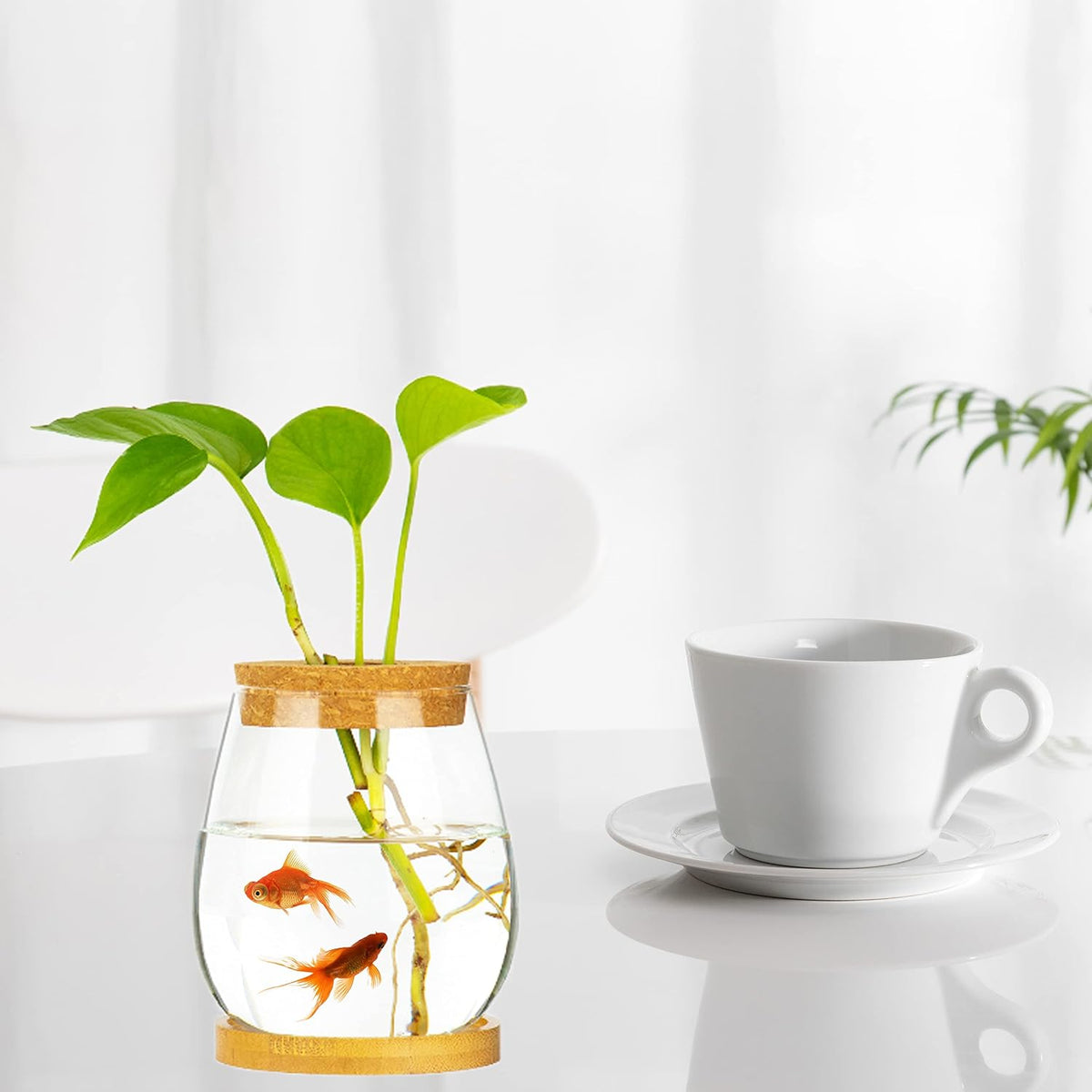 CUSNESTAL clear glass fish bowl with wood lid and bamboo stand on a desk - view 3