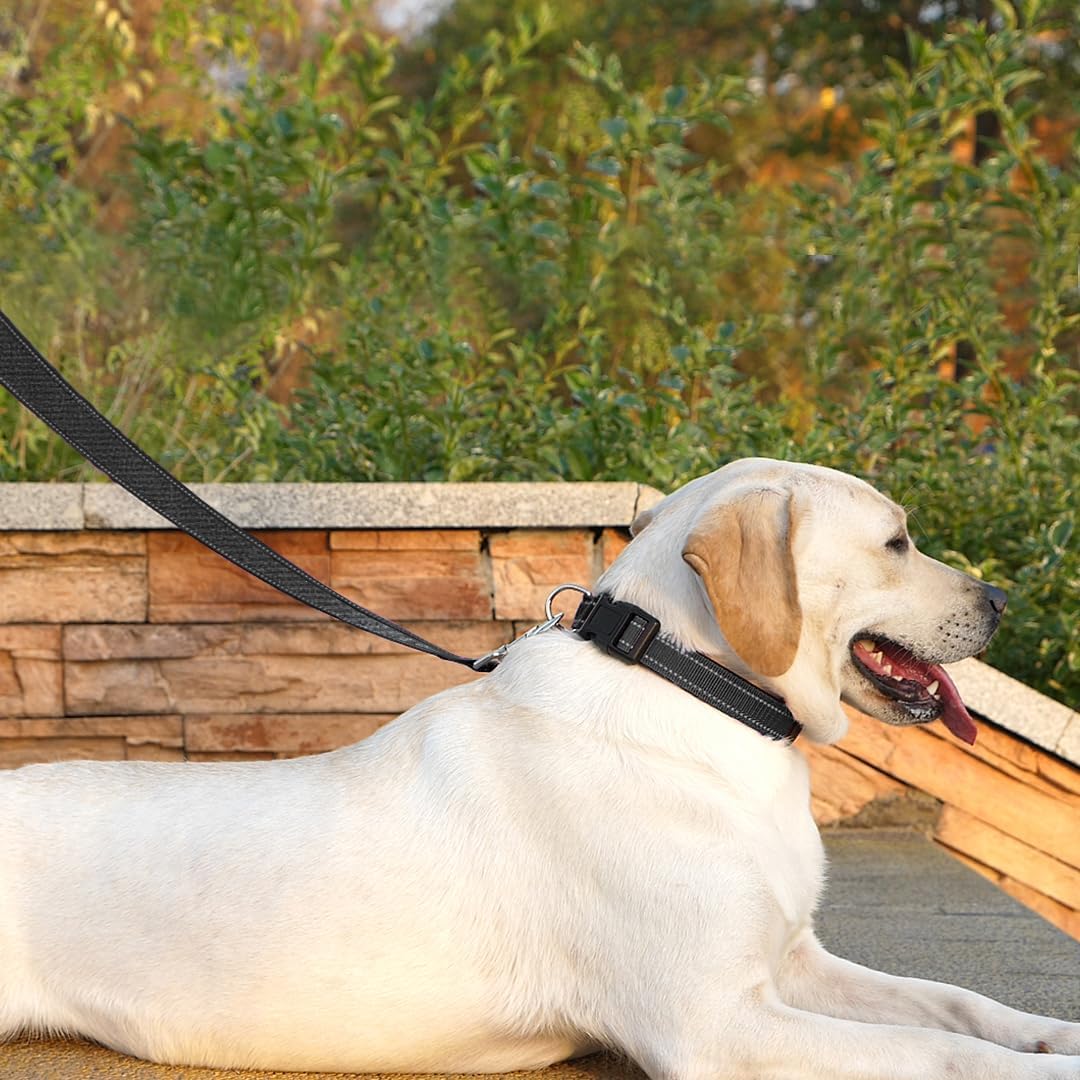6 FT Basic Dog Leash for Medium Dogs - Refl Black / Medium : 3/4" x 6 FT - image 3