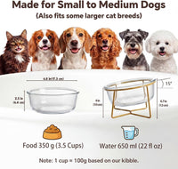 Small Glass Tilted Elevated Cat Dog Bowl Raised Cat Food Water Bowl - Large / Glass - image 2