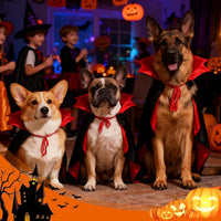 OLANRUN Dog Costumes, Dog Halloween Costumes Vampire Cloak - Large - image 4