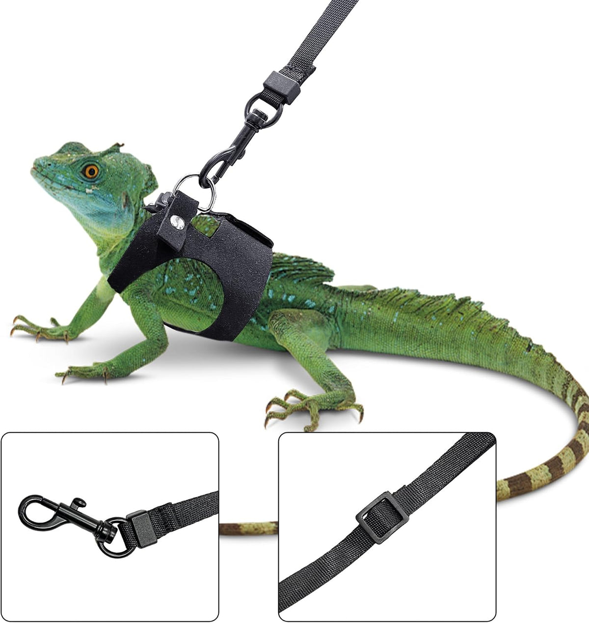 3PCS Bearded Dragon Harness and Leash Set - Black - image 2