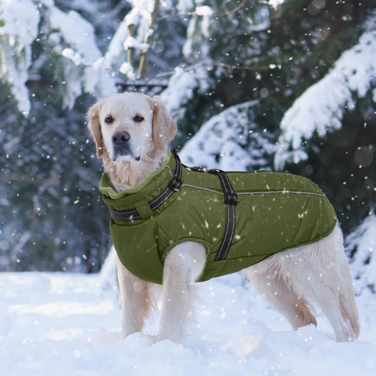 Dog Coat for Large Dogs Waterproof Dog Jacket with Harness Built in – Essentials for Dogs - XX-Large / Army Green - image 4