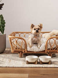 Ceramic Dog and Cat Bowl Set with Acacia Wood Stand - S-2 Cups / Lines+Dot - image 4