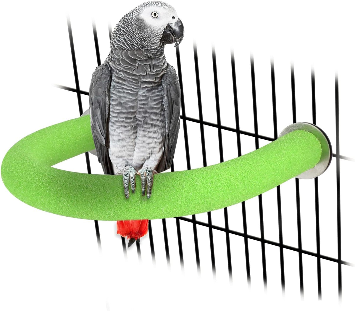 U-Shaped Large Parrot Perch, Quartz Bird Perch for Cage – Essentials for Birds - Large / Green