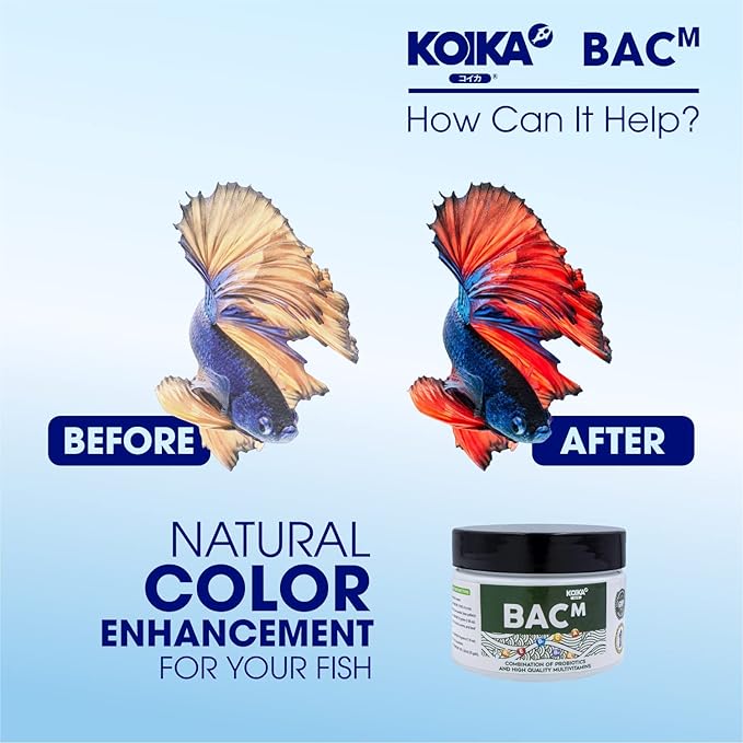 KOIKA BACM Natural Color Enhancement for Fish, Combination of Probiotic & Multi-Vitamins for Aquarium A, B6, B2, Pleasant Smells (BACM, 30ml)