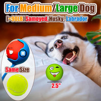 Latex Squeaky Dog Balls for Small Dogs, Mini Breed - M/L Assorted Colors / Large - image 4