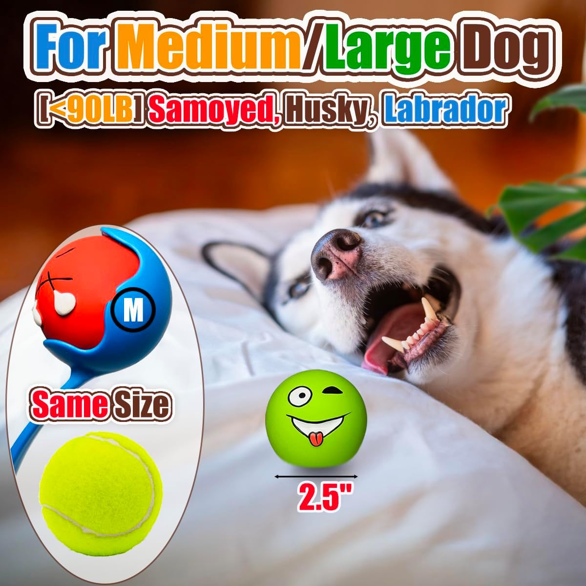 Latex Squeaky Dog Balls for Small Dogs, Mini Breed - M/L Assorted Colors / Large - image 4
