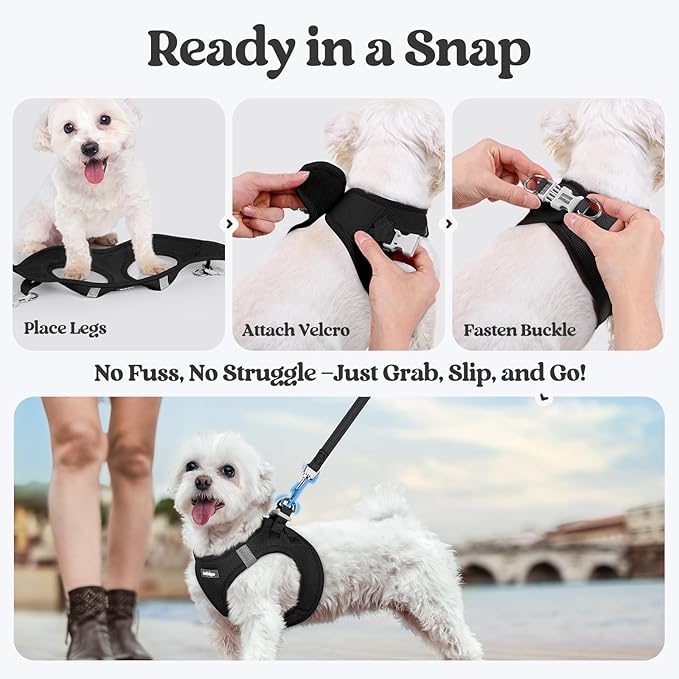 rabbitgoo Dog Harness Small Sized and Leash Set, Step in Soft Light Puppy Vest, Breathable Mesh Pet Harness, Reflective for Safe Easy Walking, Black M