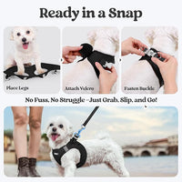 rabbitgoo Dog Harness Small Medium Sized and Leash Set, Step in Soft Light Puppy Vest, Breathable Mesh Pet Harness, Reflective for Safe Easy Walking, Black L