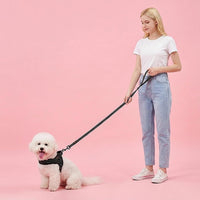 6FT Reflective Dog Leash for Small Medium Dogs, 5/8" Width - Black / 5/8''x 6 FT - image 3