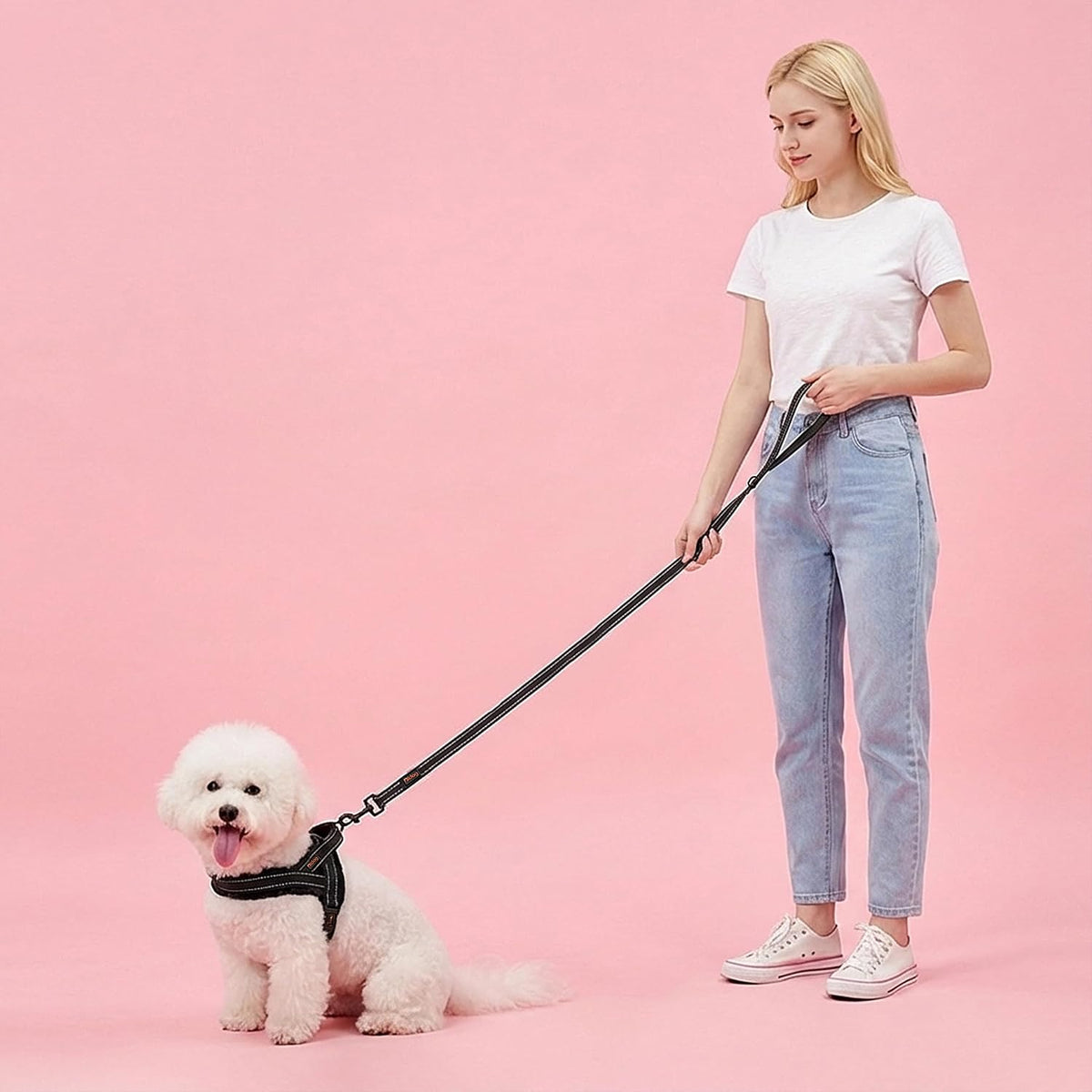 6FT Reflective Dog Leash for Small Medium Dogs, 5/8" Width - Black / 5/8''x 6 FT - image 3
