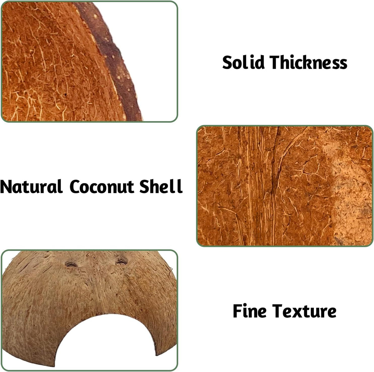 PINVNBY 2 PCS Natural Coconut Reptile Hideouts Lizard Coco Hut Hermit - Smooth Surface / 4 PCS - image 3