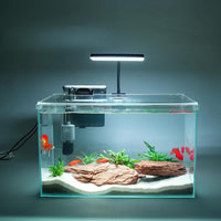 Vimvins 5 Gallon Glass Small Fish Tank with Filter Light and Lid - 10 Gallon