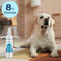 Replenish Antiseptic Spray for Dogs – Medicated Anti Itch Spray for Pets – Chlorhexidine & Ketoconazole Pet Spray – Dog Itching Skin Relief - Antiseptic Spray for Cats Skin Allergy – 8 oz