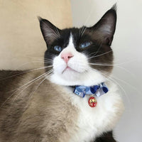 Necoichi Daruma Charm Bow Tie Cat Collar – Essentials for Cats - image 4