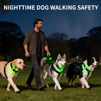 LaRoo Dog Lights, Led Collar Lights for Nighttime Walking - Green-A - image 4