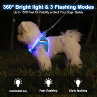 Light Up Dog Harness,Rechargeable LED Dog Harness for Small Medium Large Dogs,Reflective Lighted Safety Vest for Night Walking & Camping,Lightweight & Adjustable,Blue,L