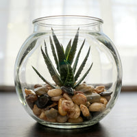 5LB Coarse Sand, Colored Rocks Pebbles - 20LB / 8-12MM - image 4