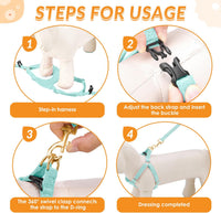 SlowTon No Pull Dog Harness with Leash for Small Medium Dogs - X-Small(6-11lb) / Solid Teal - image 3