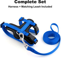 Plutus Pet Adjustable Cat Harness and Leash Set - Royal Blue - image 2