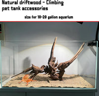 Aquarium Driftwood 3PCS Natural Trunk Driftwood Assorted Branches - Mopani Driftwood (8-15in 1PCS) - image 4