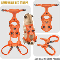 OneTigris Dog Lift Harness for Small Dogs XS - Small / Orange - image 4