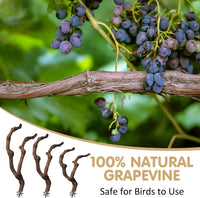 PINVNBY 3 Sizes Natural Parrot Perch Grape Wood Bird Stand Pole - 5.9+7.9+9.8in - image 4
