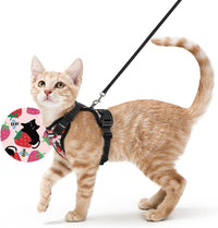 rabbitgoo Cat Harness and Leash Set, Escape Proof Vest - S / Berry Pounce