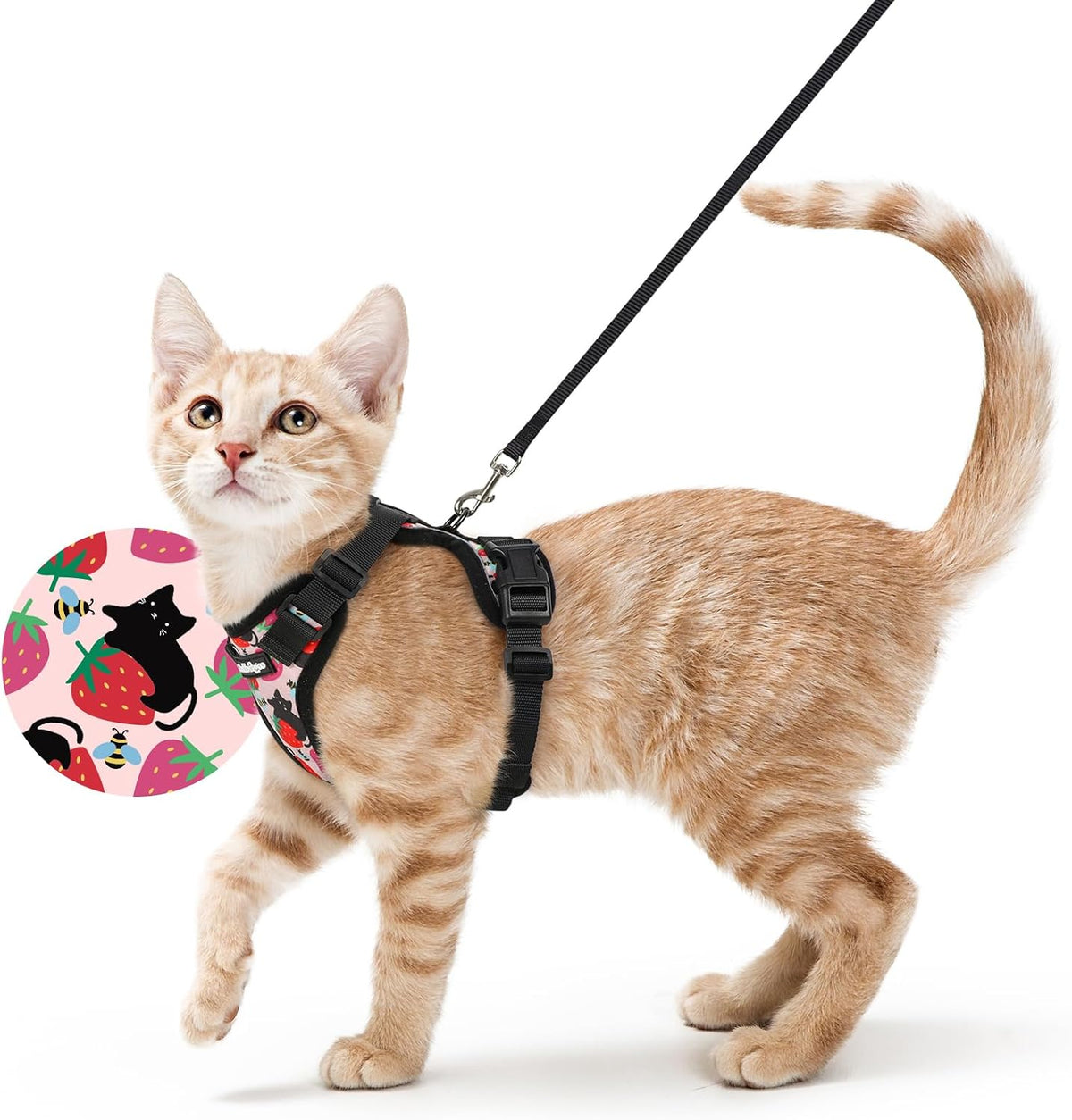 rabbitgoo Cat Harness and Leash Set, Escape Proof Vest - S / Berry Pounce