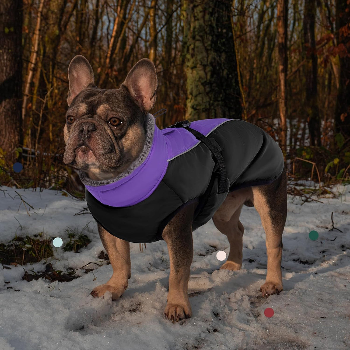 IECOii Extra Warm Reflective Dog Coat - X-Large(Chest:24.4-29.9 in) / Purple - image 3