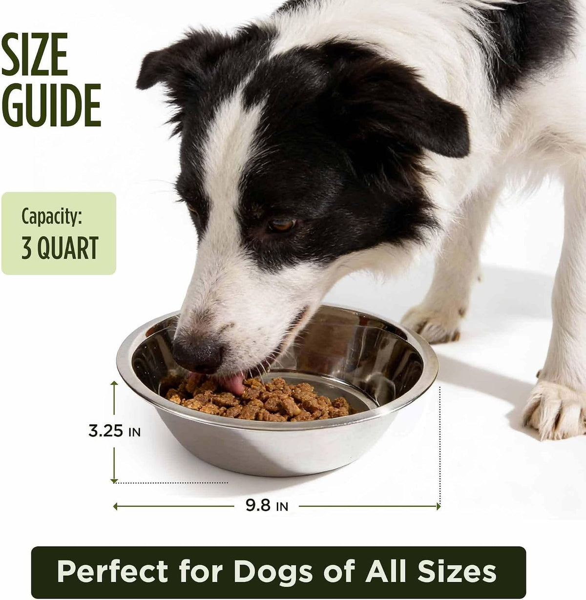 Scott Pet Bowl, Stainless Steel Pet Water and Food Bowl - 3 Quart - image 2