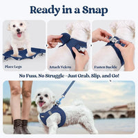 rabbitgoo Dog Harness Small Sized and Leash Set, Step in Soft Light Puppy Vest, Breathable Mesh Pet Harness, Reflective for Safe Outdoor Walking, Navy Blue M