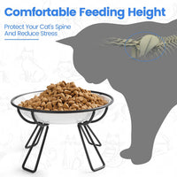 Ceramic Cat Bowls, Raised, Whisker Friendly - raised dish,2 pack / line cat - image 2