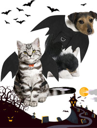 Halloween Dog Bat Wings Costume - Small - image 2